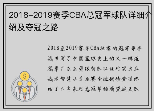 2018-2019赛季CBA总冠军球队详细介绍及夺冠之路