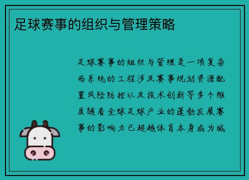 足球赛事的组织与管理策略